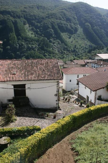 Gartzinea, Amplia Y Preciosa Vivienda Rural Apartment Ezkurra Екстериор снимка