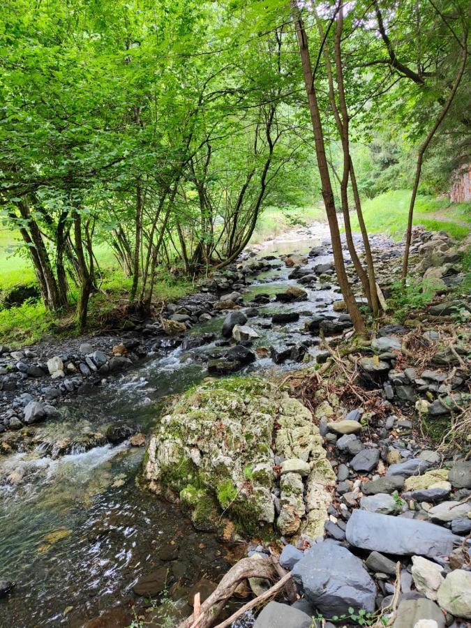 Gartzinea, Amplia Y Preciosa Vivienda Rural Apartment Ezkurra Екстериор снимка